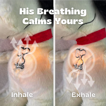 Breathing Snoop Plush for Anxiety